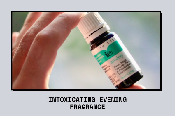intoxicating evening fragrance