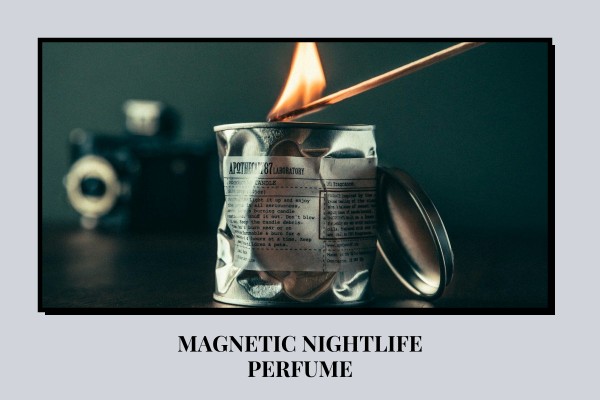 magnetic nightlife perfume