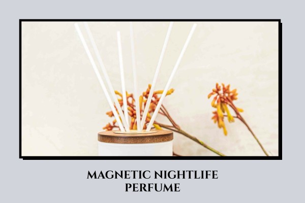 magnetic nightlife perfume