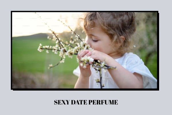sexy date perfume