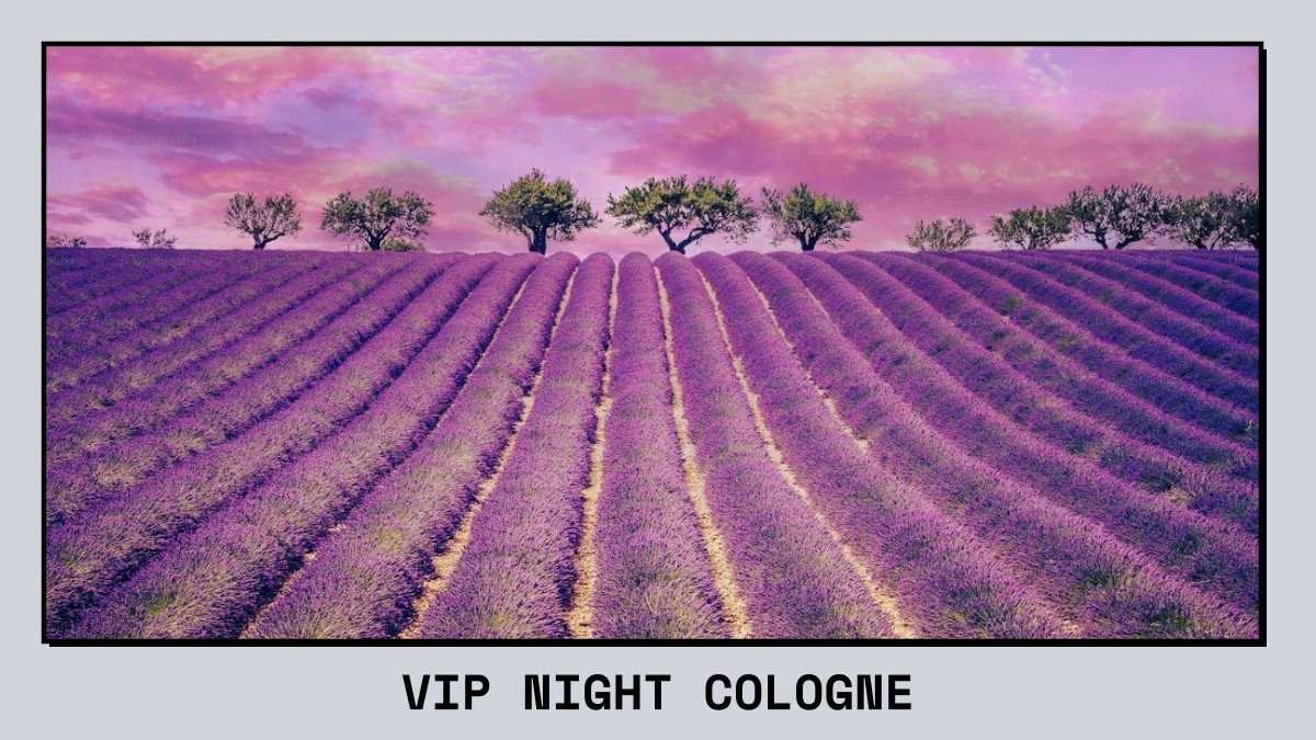 vip night cologne