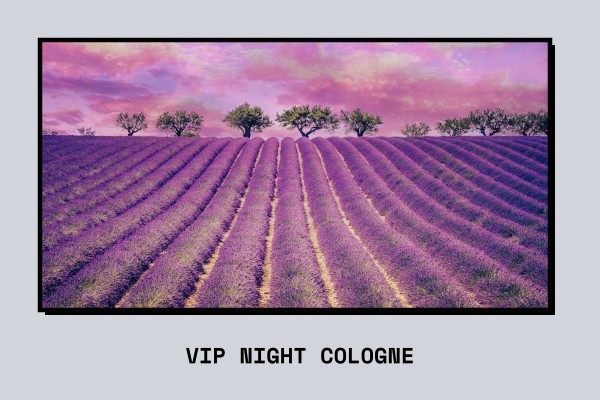 vip night cologne